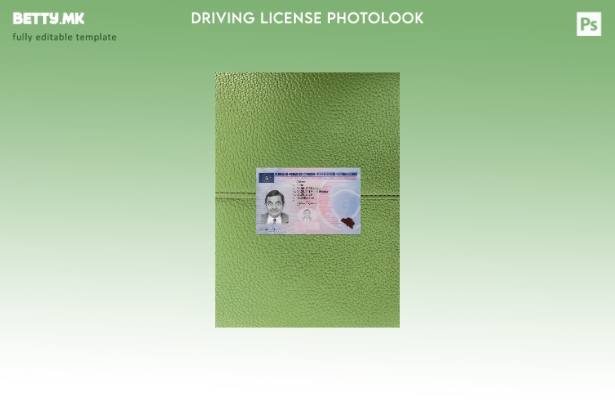 Модерен стил Белгиската возачка дозвола претставува преден шаблон со фото изглед